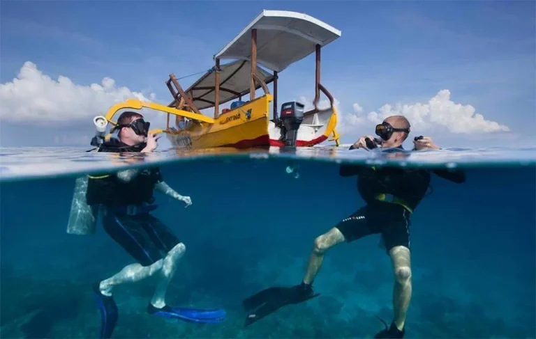 Best Liveaboard Diving Options: The Definitive 2026 Editorial Guide