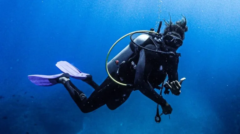 Best Scuba Certification Options: A Comprehensive Editorial Guide (2026)