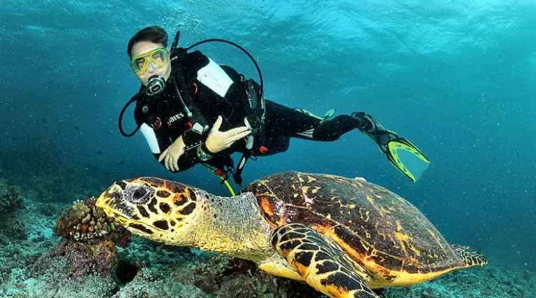 How to Manage Buoyancy Problem: A Definitive Editorial Guide (2026)