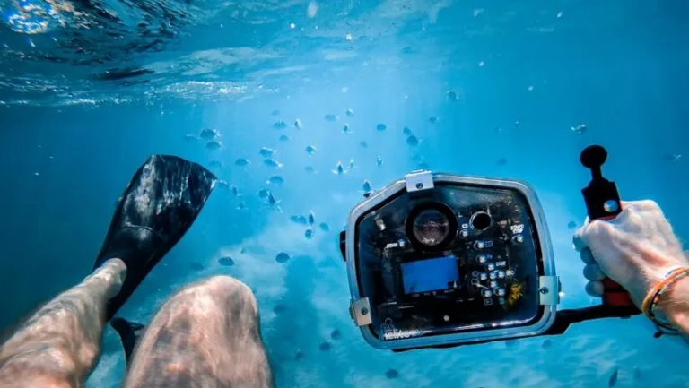Top Underwater Photography Plans: The Definitive 2026 Editorial Guide